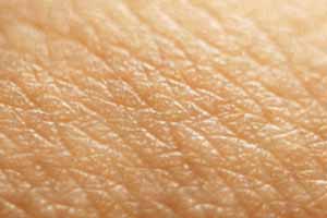 گال چیست؟ شنیدید می گن یارو گال بسته!! گال چیست؟ شنیدید می گن یارو گال بسته!!