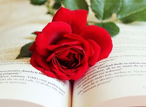 بهترین تصاویر عاشقانه و love متن دار برای تلگرام