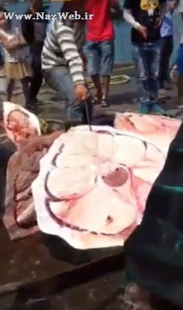 تکان دهنده ترین صید یک نهنگ زنده و تکه تکه کردن آن (15+)