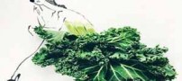 لاغرترین مانکن های نخ با مدل لباس های میوه ای (عکس)