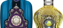 خوشبو ترین عطر و ادکلن های بازار