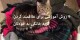 9 روشی که گربه خانگی به شما علاقه پیدا کند