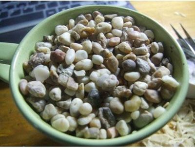 آموزش تصویری مراحل کامل کاشت لیموترش در خانه