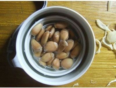 آموزش تصویری مراحل کامل کاشت لیموترش در خانه
