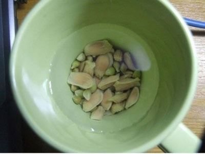 آموزش تصویری مراحل کامل کاشت لیموترش در خانه
