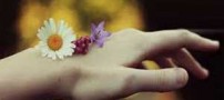 جنجال زیباترین عکس عاشقانه با بیش از 3 میلیون کلیک