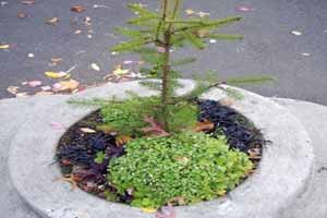 نظاره گر دیدنی و کوچکترین پارک جهان باشید (عکس) نظاره گر دیدنی و کوچکترین پارک جهان باشید (عکس)