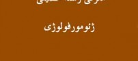 معرفی رشته تحصیلی ژئو مورفولوژی