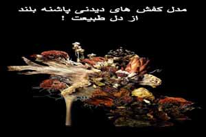 مدل کفش های زنانه پاشنه بلند، از دل طبیعت! مدل کفش های زنانه پاشنه بلند، از دل طبیعت!