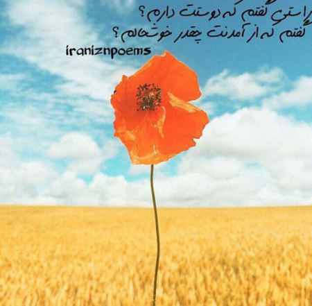 مینی شعرهای تصویری و خواندنی (6)