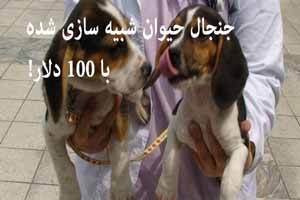 جنجال حیوان شبیه سازی شده فقط 100 دلار! عکس