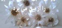 خوراکی هایی که بوی بد سیر را از بین می برد