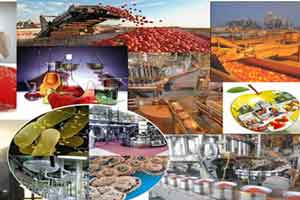 معرفی کارشناسی و شغل صنایع غذایی