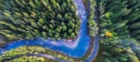 تنها چیزی که انسان از تماشای آن خسته نمی شود (1)