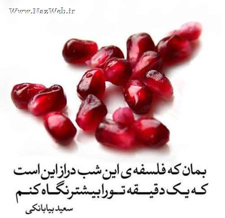 مینی شعرهای تصویری و بسیار خواندنی (10)