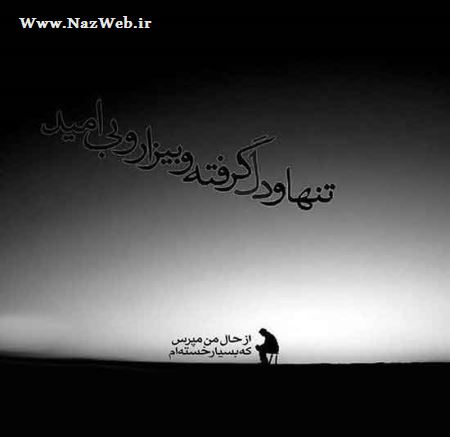 مینی شعرهای تصویری و بسیار خواندنی (10)