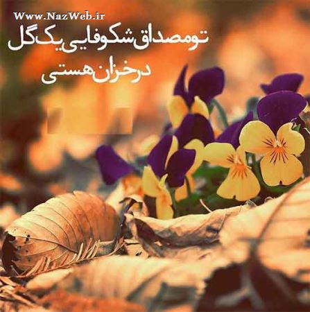 مینی شعرهای تصویری و بسیار خواندنی (10)