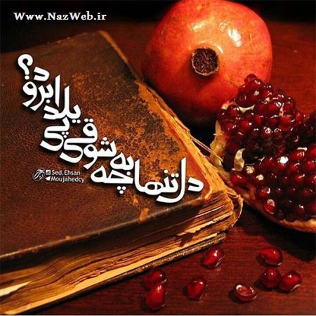 مینی شعرهای تصویری و بسیار خواندنی (10)