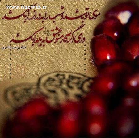 مینی شعرهای تصویری و بسیار خواندنی (10)