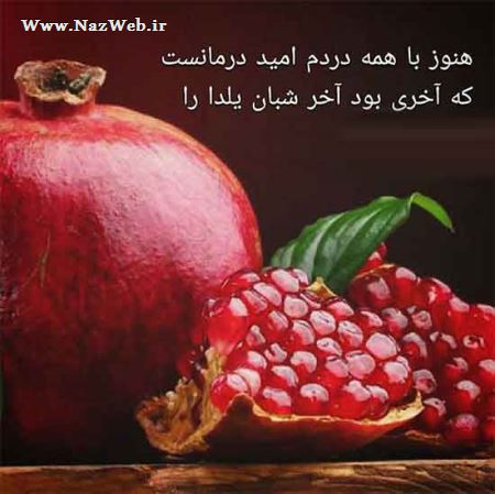 مینی شعرهای تصویری و بسیار خواندنی (10)