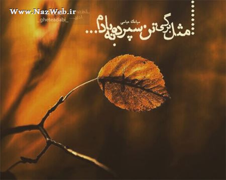 مینی شعرهای تصویری و بسیار خواندنی (10)