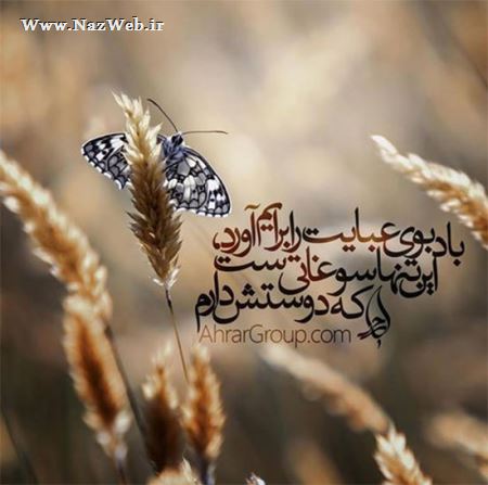 مینی شعرهای تصویری و بسیار خواندنی (10)