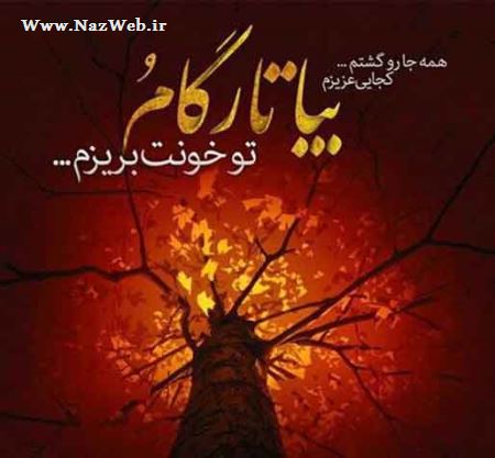مینی شعرهای تصویری و بسیار خواندنی (10)