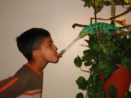 عکس های خیلی خنده دار و طنز (26)