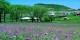 معرفی زیبا و معروف ترین روستاهای ایران / عکس