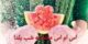 SMS Love Yalda اس ام اس عاشقانه شب یلدا