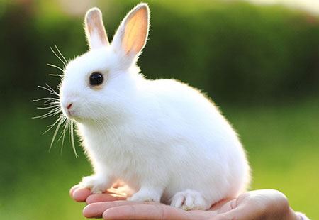 عکس های داغ و دیدنی سری 82