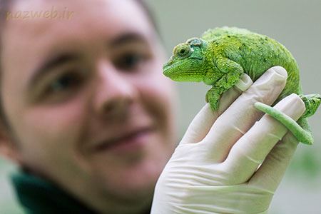 عکس های داغ و دیدنی روز سری 83