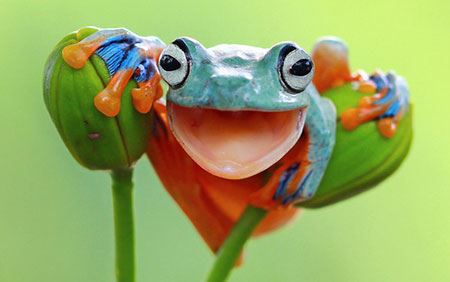 عکس های داغ و دیدنی سری 82