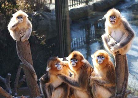 عکس های داغ و دیدنی روز سری 83
