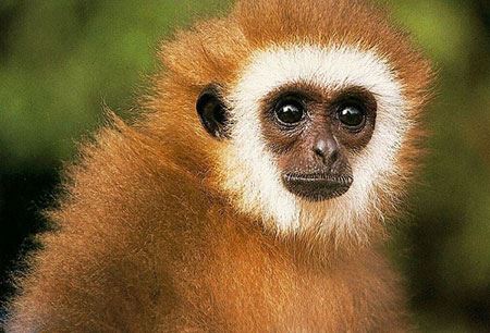 عکس های داغ و دیدنی سری 82