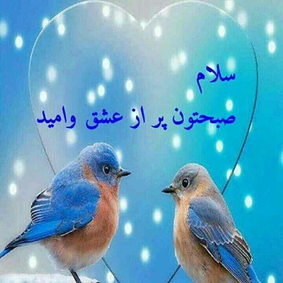 عکس نوشته و متن های زیبای صبح بخیر برای تلگرام (2)