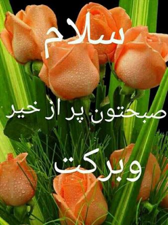 عکس نوشته و متن های زیبای صبح بخیر برای تلگرام (2)
