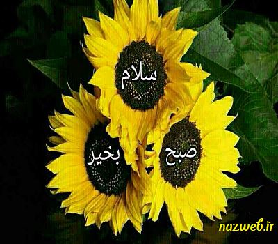 عکس نوشته های بسیار زیبای صبح بخیر (1)