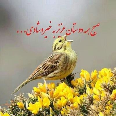 عکس نوشته و متن های زیبای صبح بخیر برای تلگرام (2)