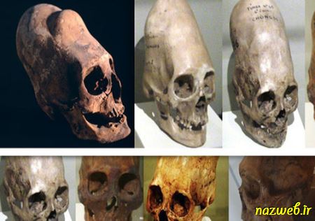 جنجال جمجمه های شبه انسان با DNA غیر انسانی (عکس)