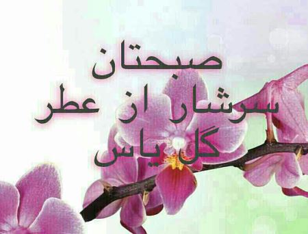 عکس نوشته و متن های زیبای صبح بخیر برای تلگرام (2)