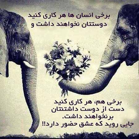 عکس نوشته های زیبا و الهام بخش زندگی 15