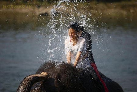 عکس های داغ و دیدنی روز سری 83