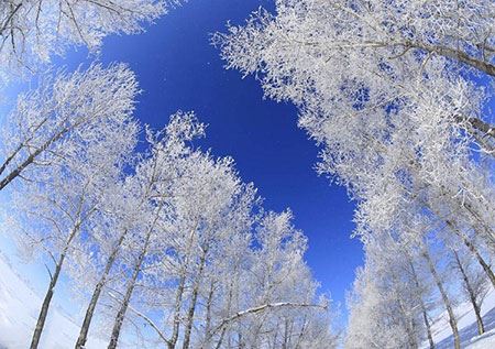 عکس های داغ و دیدنی سری 82