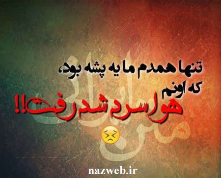 عکس نوشته های طنز و بسیار جالب اینستاگرام