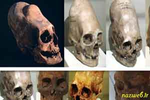 جنجال جمجمه های شبه انسان با DNA غیر انسانی (عکس) جنجال جمجمه های شبه انسان با DNA غیر انسانی (عکس)