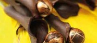 طرز تهیه شکلات مارسیپانی فقط برای با کلاس ها