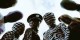 عکس هایی از مد جنجالی و عجیب جوانان ژاپنی