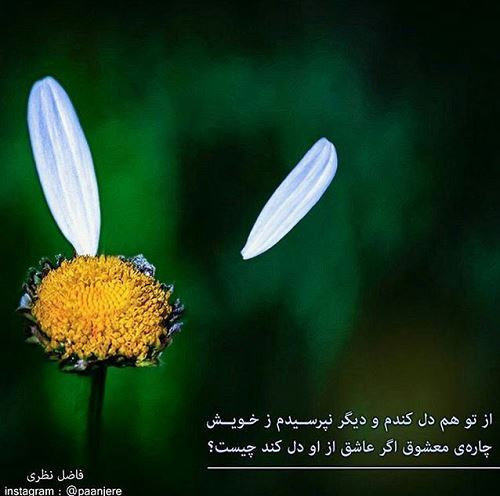 عکس نوشته های مینی شعرهای زیبا (11)