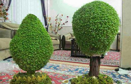 مدل سبزه میمون عید نوروز 95